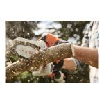 STIHL GTA 26 СЕТ Градинарска батериска пила - Image 3