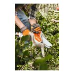 STIHL GTA 26 СЕТ Градинарска батериска пила - Image 4