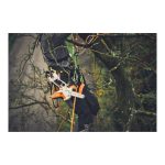 STIHL GTA 40 без батерии и полнач - Image 4