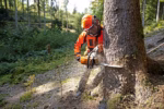 STIHL MS 362 со 3/8 Rapid Super ланец