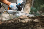 STIHL MS 194 T