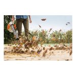 STIHL BG 56 Бензиска дувалка - Image 2