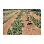 STIHL MH 600 Бензинска Фреза - Image 3