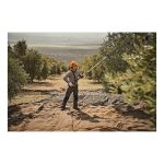 STIHL SP 92 C-E Специјален тресач на стебла - Image 2